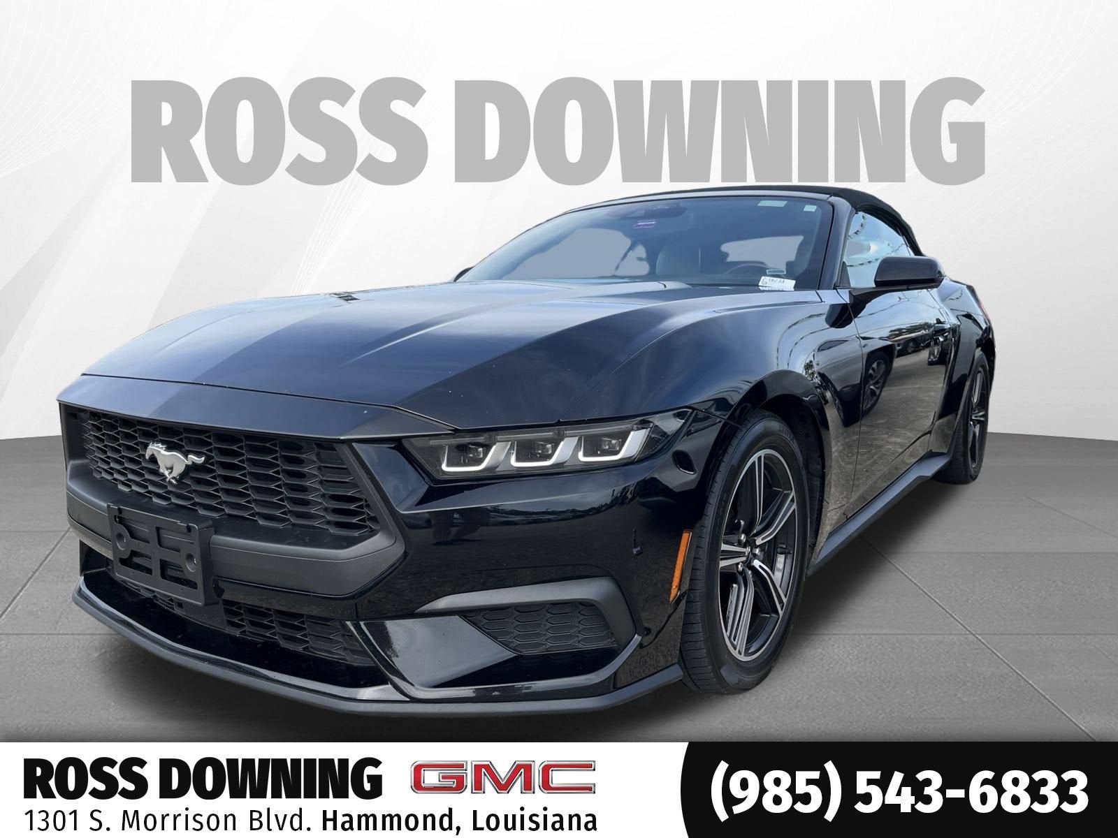 2024 Ford Mustang EcoBoost in Black — front three-quarter view